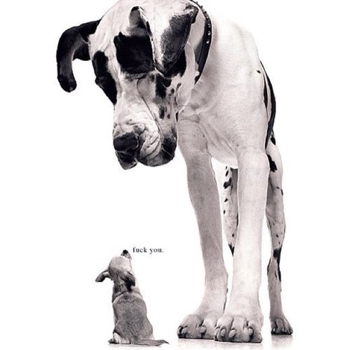 denboerracing's profile picture. 