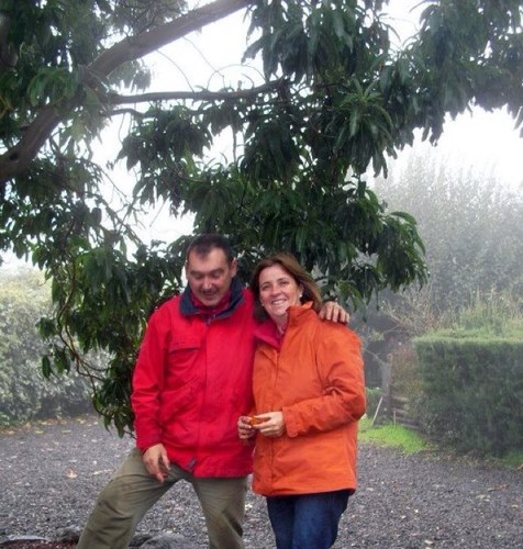 quimpicamp's profile picture. Campamento situado en el corazón de Tenerife, organizamos actividades, campamentos, alojamiento en plena naturaleza