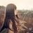 Wendi219's profile image
