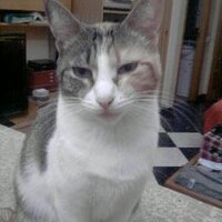 isabel p (@isabelp19) 's Twitter Profile