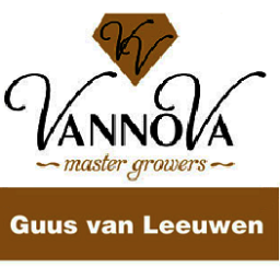 Grower of Kennedy, spray chrysanthemum | VannoVa master growers | https://t.co/VvM5rr8caw | geothermie | https://t.co/DwZ9efkgof |