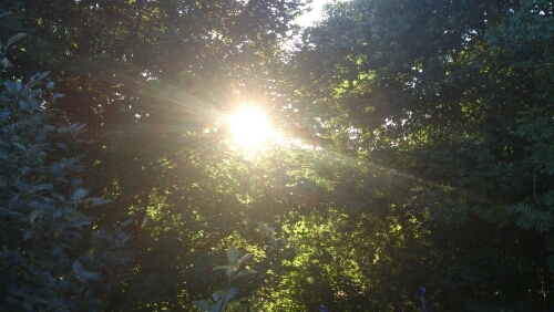 recoveringdrunk's profile picture. A life without alcohol, happy, joyous and free. #xa