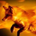 Alberta Costa - @yp_ben - Twitter