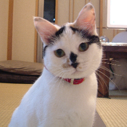 あじきらさんのプロフィール画像