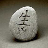Dr. Life (@dr__life) 's Twitter Profile