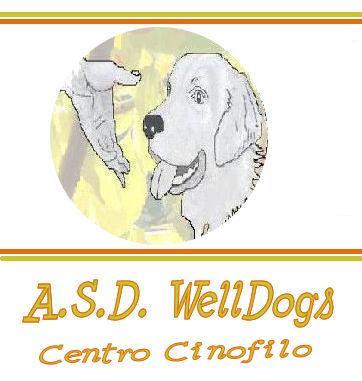 Centro di educazione per cani e proprietari a Ceriano Laghetto (MB). Corsi di educazione di vario livello per cani adulti e cuccioli anche a domicilio