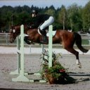 weiss - @WeissLou - Twitter