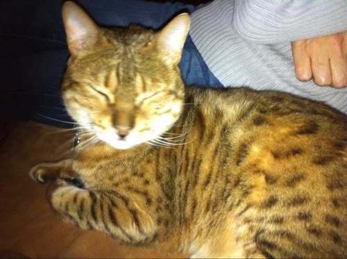 timss64's profile picture. 