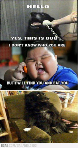 DanReitz1's profile picture. 