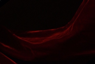 HabeebALSaeed's profile picture. Shylock is my name. If you don't pay up on time, I shall have one pound of your flesh.