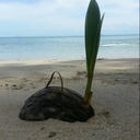 RAWAN ALKHATEEB - @RAWANKHATIB - Twitter