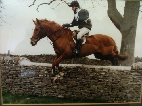 Firefox145's profile picture. Ex President of master saddlers Ex Event Rider ,Speedway ,Moto Cross Rider. Cirencester Saddlers Owner.