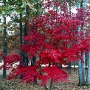 Donna Tipton - @fishinpal - Twitter