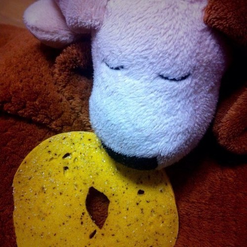 ayanenw's profile picture. 附属/ちゅーぶ/わせけん