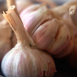 kosher_recipes's profile picture. I run a few kosher recipe groups.