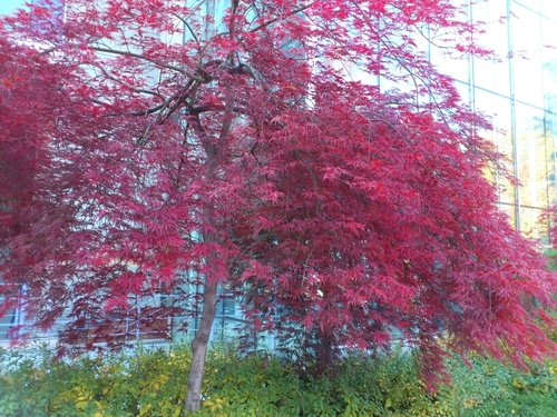 1dudnek1004's profile picture. 아~ 시간이 이렇게 또 흐르네^^*