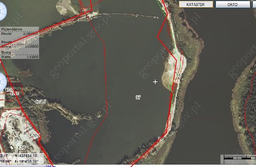 WojtekLES's profile picture. 