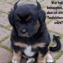 sandra reich - @sandra_reich - Twitter