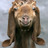 elementhsixth's profile image