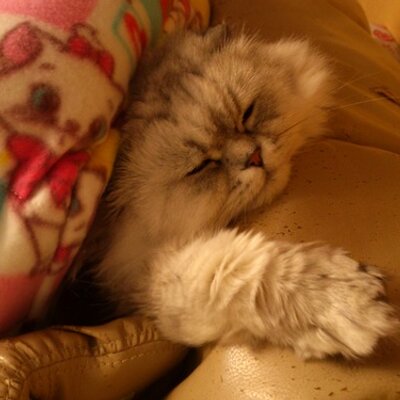 山崎陽菜 1107teruchan Twitter 山崎陽菜 1107teruchan Twitter