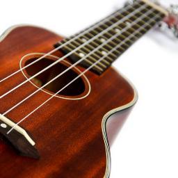 http://t.co/BMeW8wcU's alternate twitter account. Feed for uke tab addicts ! For news and site updates, follow us @UkuleleTabs