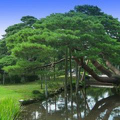 石川県に関するニュースをツイートします。相互フォロー100%です。
