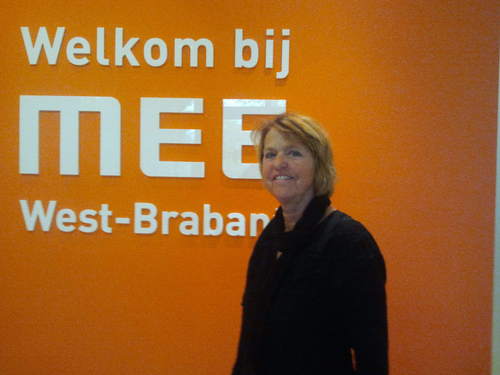 mee consulent vg /ggz