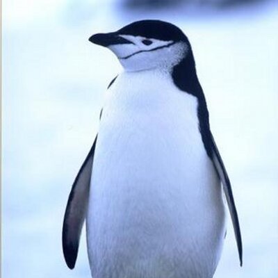 Terasaki Twitterissa さ さささ さっささ ささささ さっ っっささ さss ささっさささっさっs S S っs っささ さっ ささ さささ っっっさああ ささ ささっさああさっ あ さっささあs ささあ さsささ ささあっさs ささs ささ さ さ さ Terasaki Twitterissa さ さささ さっささ ささささ さっ っっささ さss ささっさささっさっs S S っs っささ さっ ささ さささ っっっさああ ささ ささっさああさっ あ さっささあs ささあ さsささ ささあっさs ささs ささ さ さ さ