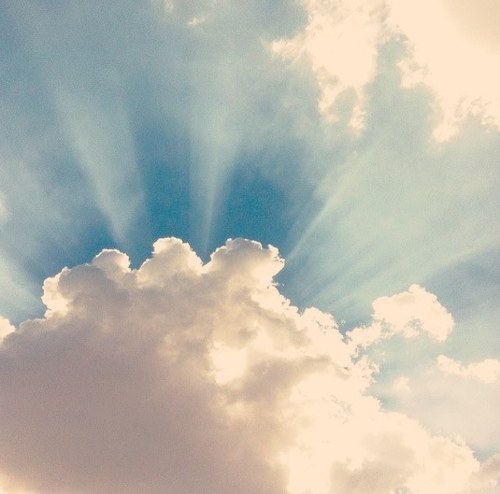 Reem_3bdalla's profile picture. 