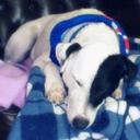 Barnaby Jones - @BarneyOTrouble - Twitter