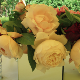 AlicePelly's profile picture. Bespoke bridesmaid dresses made to measure.
For all enquiries alice@maidstomeasure.com.