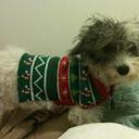 Haley Levine - @haley_levine - Twitter