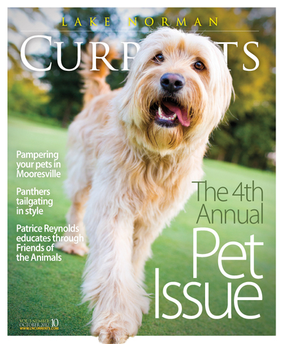 PageantPup's profile picture. Fundraising to eradicate animal abuse and provide welfare for all animals.