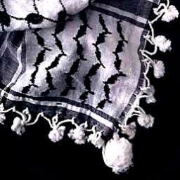 GazaCityFFC's profile picture. Il Gaza City FFC è stata una gloriosa squadra iscritta alla ControversoLeague.Gemellata con l'@AdemarPalestino,con cui si è fusa per fondare il @CaracolMSarsak.