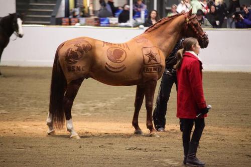 bje341's profile picture. 