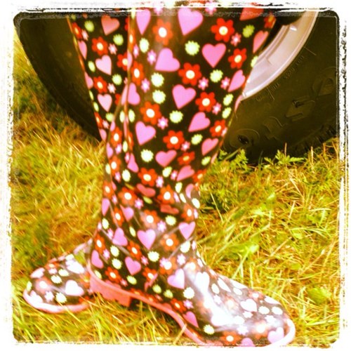 su_ross's profile picture. 