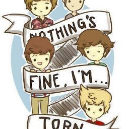 Directioner a mi manera
Si tu me sigues yo te sigoo! (: