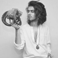 Robin Hod (@robinvanhod) 's Twitter Profile
