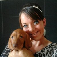 lucy carson (@lucypouting) 's Twitter Profile