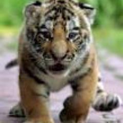 Esthersmith14's profile picture. 