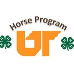 The purpose of the Tennessee 4-H Horse Show Program is to provide educational opportunities for 4-H members to enhance and demonstrate their equine knowledge.
