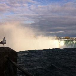 pankaroo20's profile picture. 