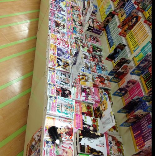 ベイサイドエリアにある新刊書店でラノベタントゥーしていました。読み聞かせと児童書、学参、旅ガ担当に。現在は、@soshindo_PR を開業しました。ラノベ歴18年。富士見ファンタジアの復権を願ってやまない程度。スレイヤーズきたぁあああ！