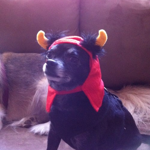 lgiggs725's profile picture. 