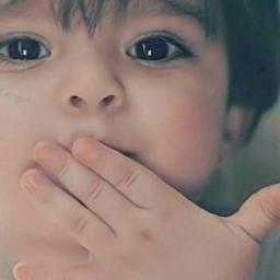 دولة الامارات