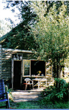 Reddeboterbloem's profile picture. 