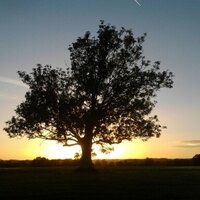 Dan (@kingdom_of_dan) 's Twitter Profile