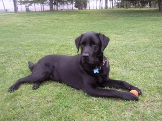 Fonagambona's profile picture. 