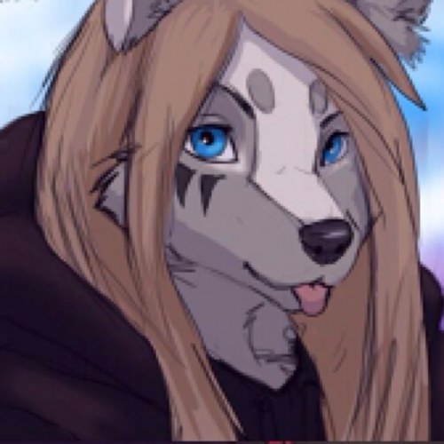 Hai! Im Kaylee! Im a nice,sweet,fun,caring and loving wolf! Im in high school and only 18!