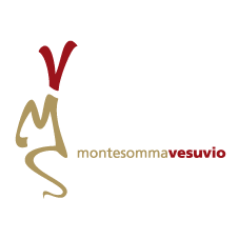 msvesuvio's profile picture. Montesommavesuvio è un Azienda Agricola specializzata nella produzione di vini di prima scelta quali con uve coltivate nel Parco Nazionale del Vesuvio.